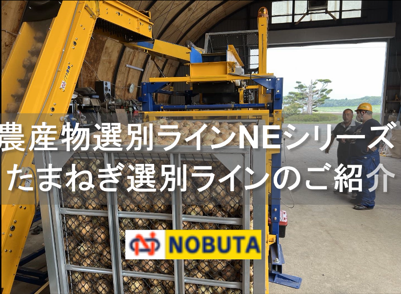 �ʂ˂��I�ʃ��C���C���[�W