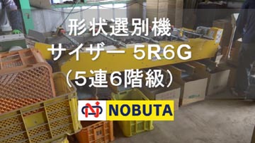 �o���󂯑I�ʃ��C���C���[�W