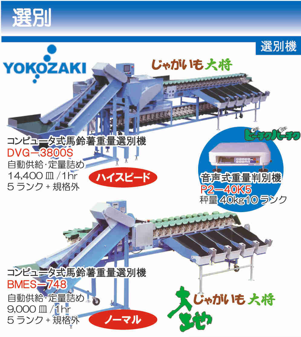 W�q�ɑO�I�ʑI�ʃ��C���C���[�W